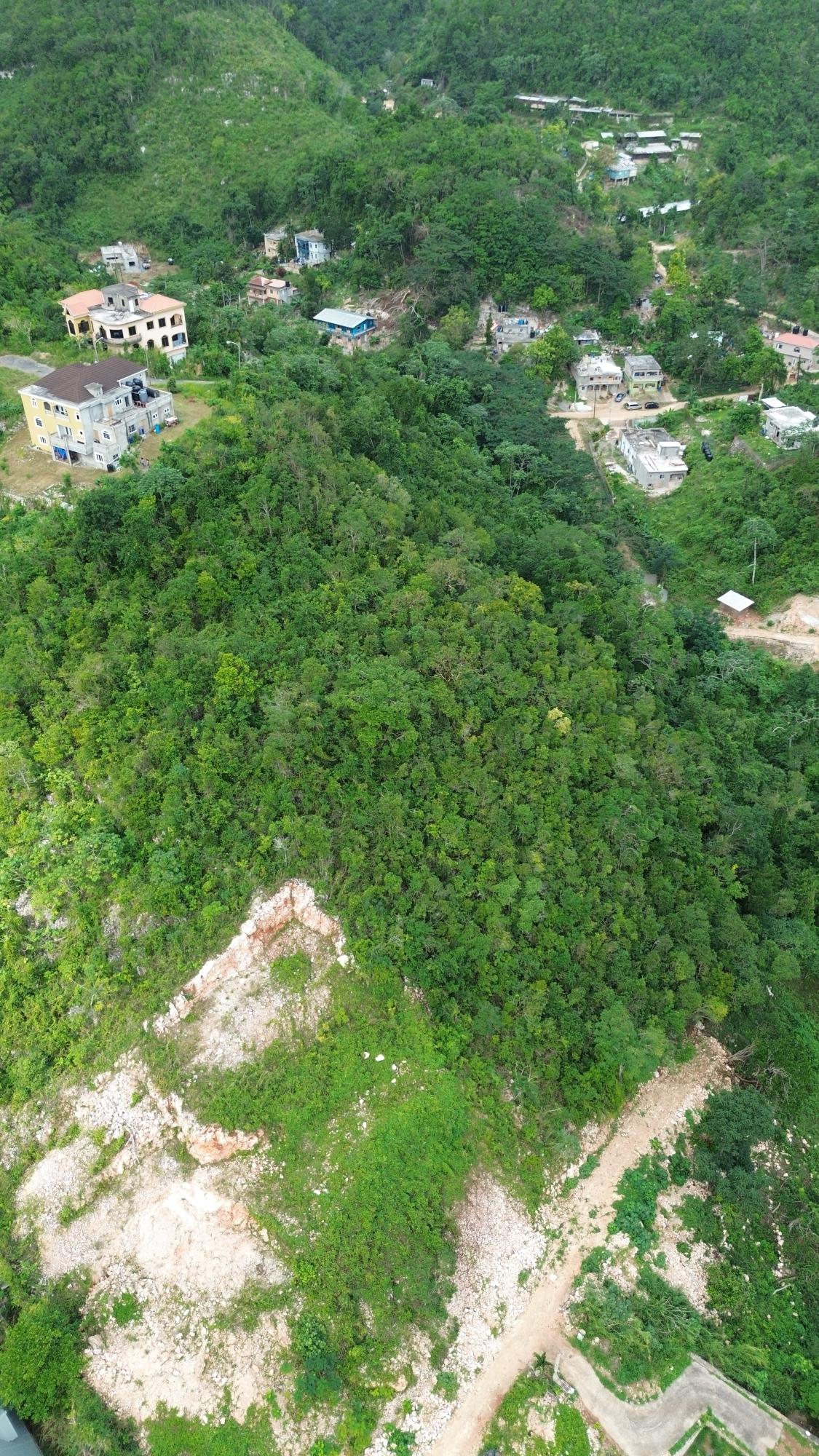 Eleventh image of Lot 2 Marverly Mountain, in Red Hills, St. Andrew, Jamaica - property is For Sale