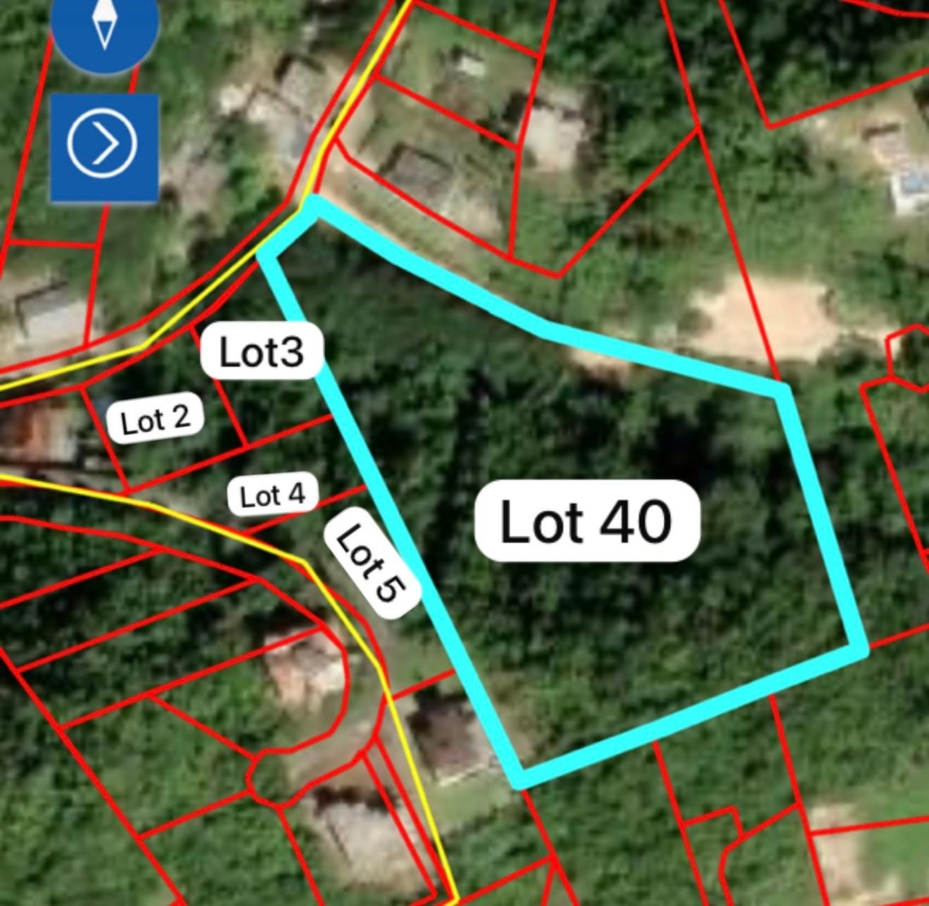 Thirteenth image of Lot 2 Marverly Mountain, in Red Hills, St. Andrew, Jamaica - property is For Sale