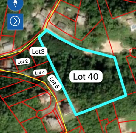 Thirteenth image of Lot 3 Marverly Mountain, in Red Hills, St. Andrew, Jamaica - property is For Sale