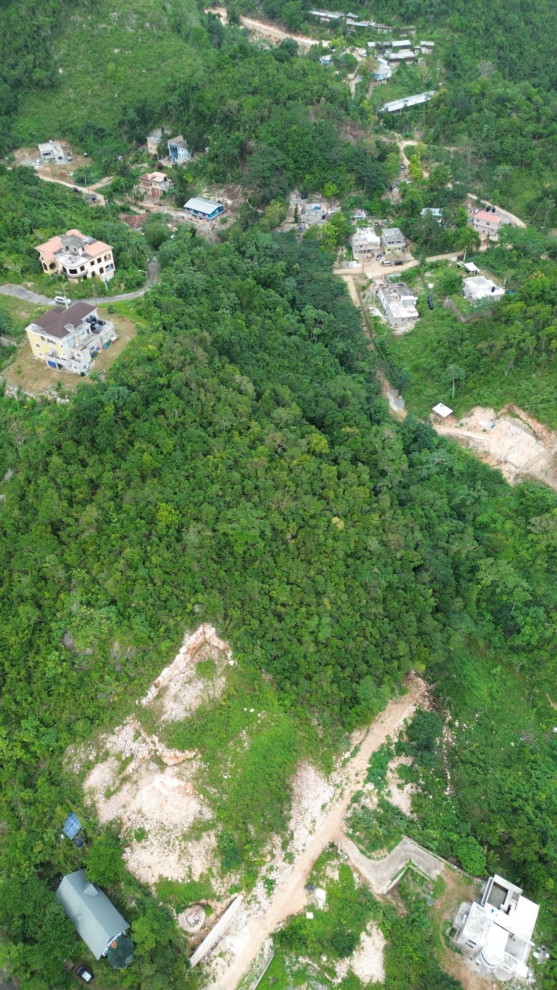 Eighth image of Lot 3 Marverly Mountain, in Red Hills, St. Andrew, Jamaica - property is For Sale