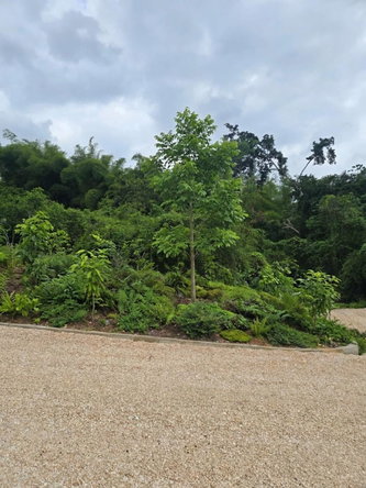 Second image of Lot#2 Buena Vista Boulevard in Linstead, St. Catherine, Jamaica - property is For Sale