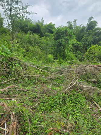 Fourth image of Lot#2 Buena Vista Boulevard in Linstead, St. Catherine, Jamaica - property is For Sale