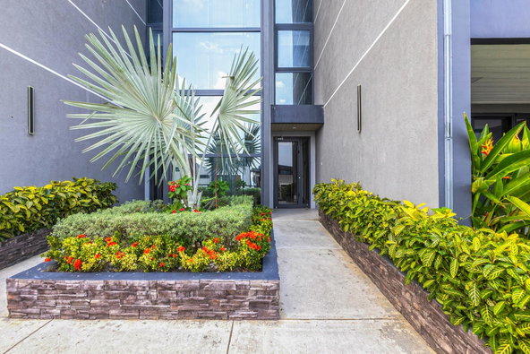 Second image of A1-12 Tavistock Terrace, Spygla in Kingston 6, St. Andrew, Jamaica - property is For Sale