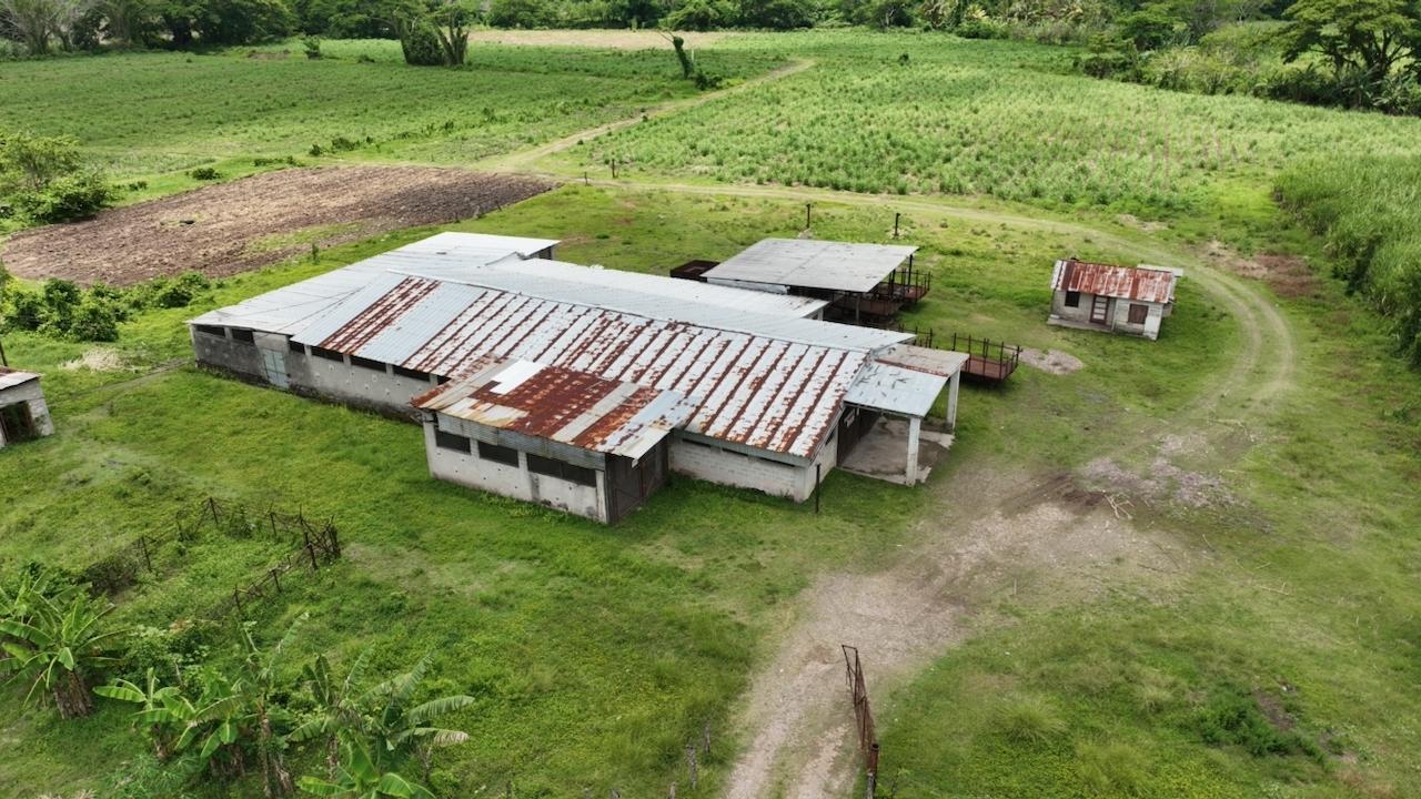 First image of Trout Hall Estate, Trout in Trout Hall, Clarendon, Jamaica - property is For Sale