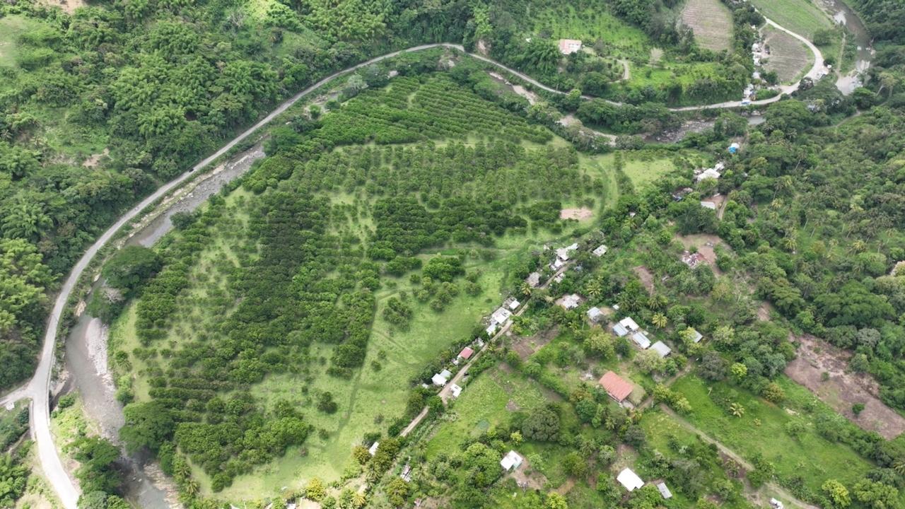 Fourth image of Trout Hall Estate, Trout in Trout Hall, Clarendon, Jamaica - property is For Sale