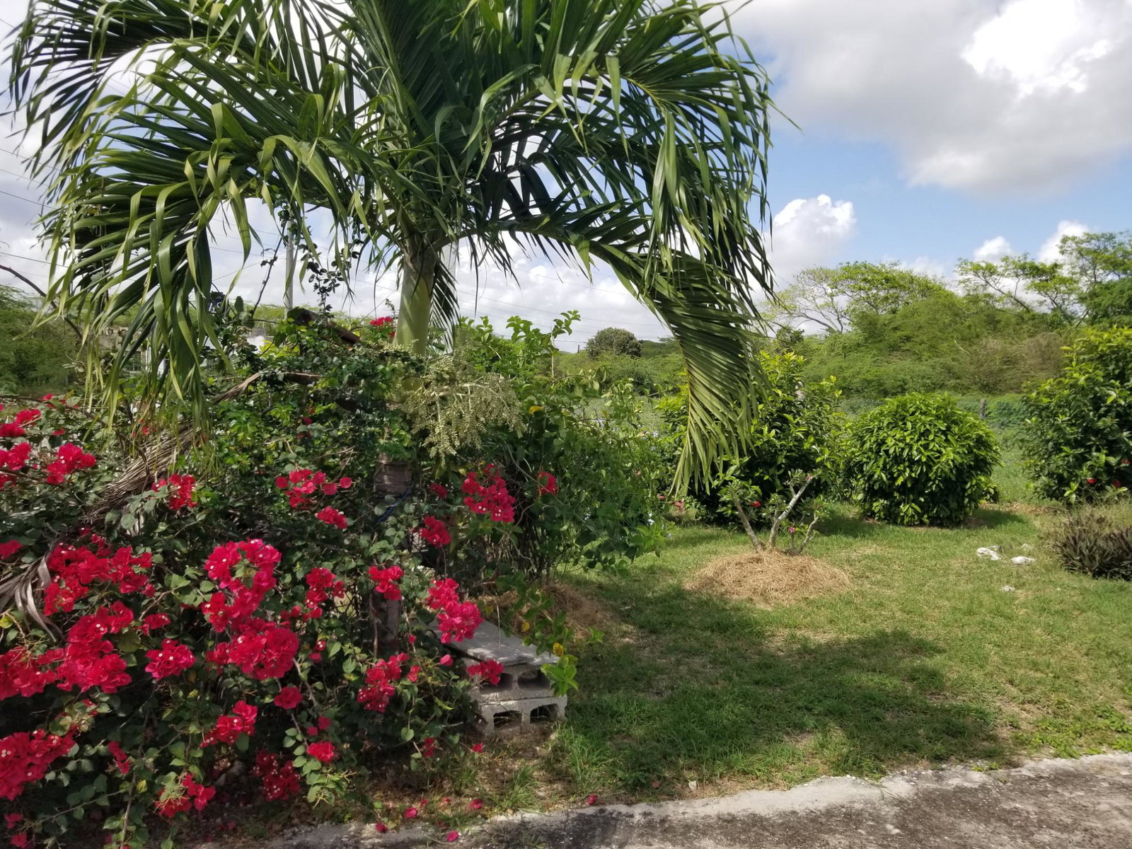 Thirteenth image of Mahoe Drive, Hartlands in Spanish Town, St. Catherine, Jamaica - property is For Sale