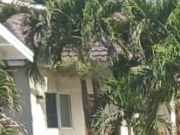 Ninth image of Beverley Close in SALEM, St. Ann, Jamaica - property is For Sale