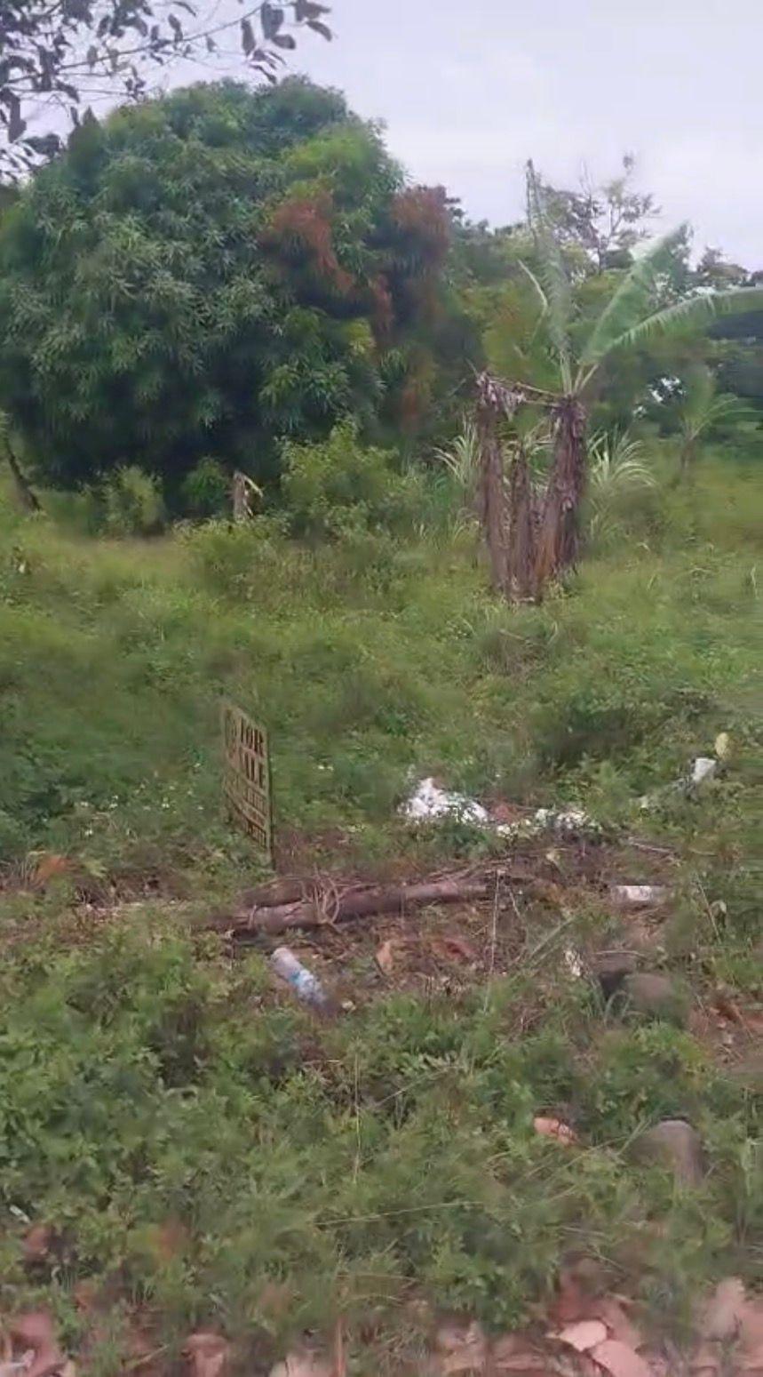 Fifth image of Islington st Mary in Islington, St. Mary, Jamaica - property is For Sale