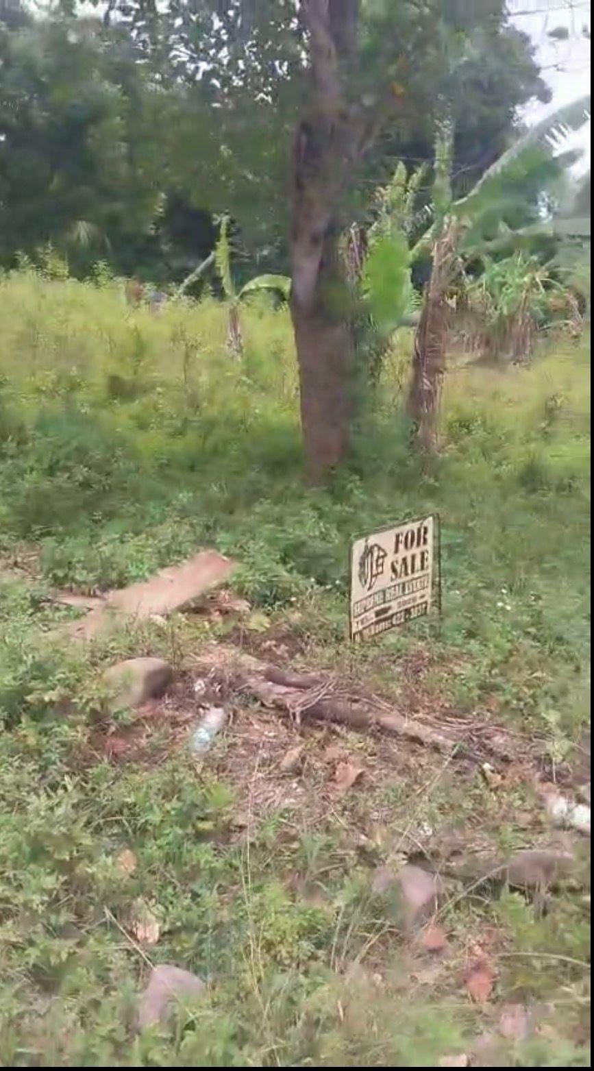 Seventh image of Islington st Mary in Islington, St. Mary, Jamaica - property is For Sale