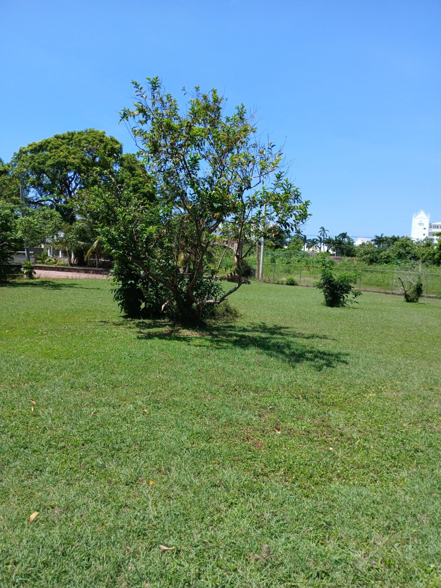 Eleventh image of Lot 70 Kenmey Road in Mammee Bay Estate, St. Ann, Jamaica - property is For Sale