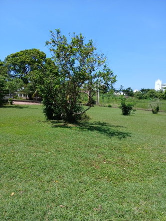 Eleventh image of Lot 70 Kenmey Road in Mammee Bay Estate, St. Ann, Jamaica - property is For Sale