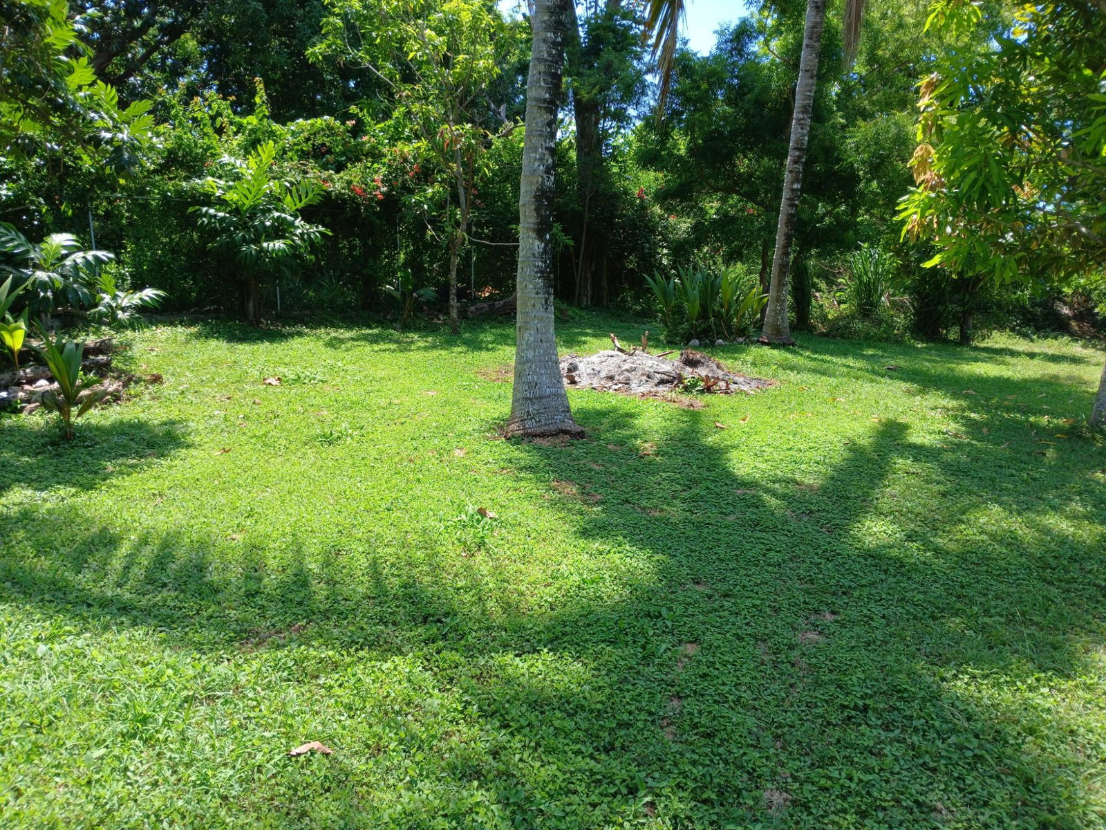 Twelfth image of Lot 70 Kenmey Road in Mammee Bay Estate, St. Ann, Jamaica - property is For Sale