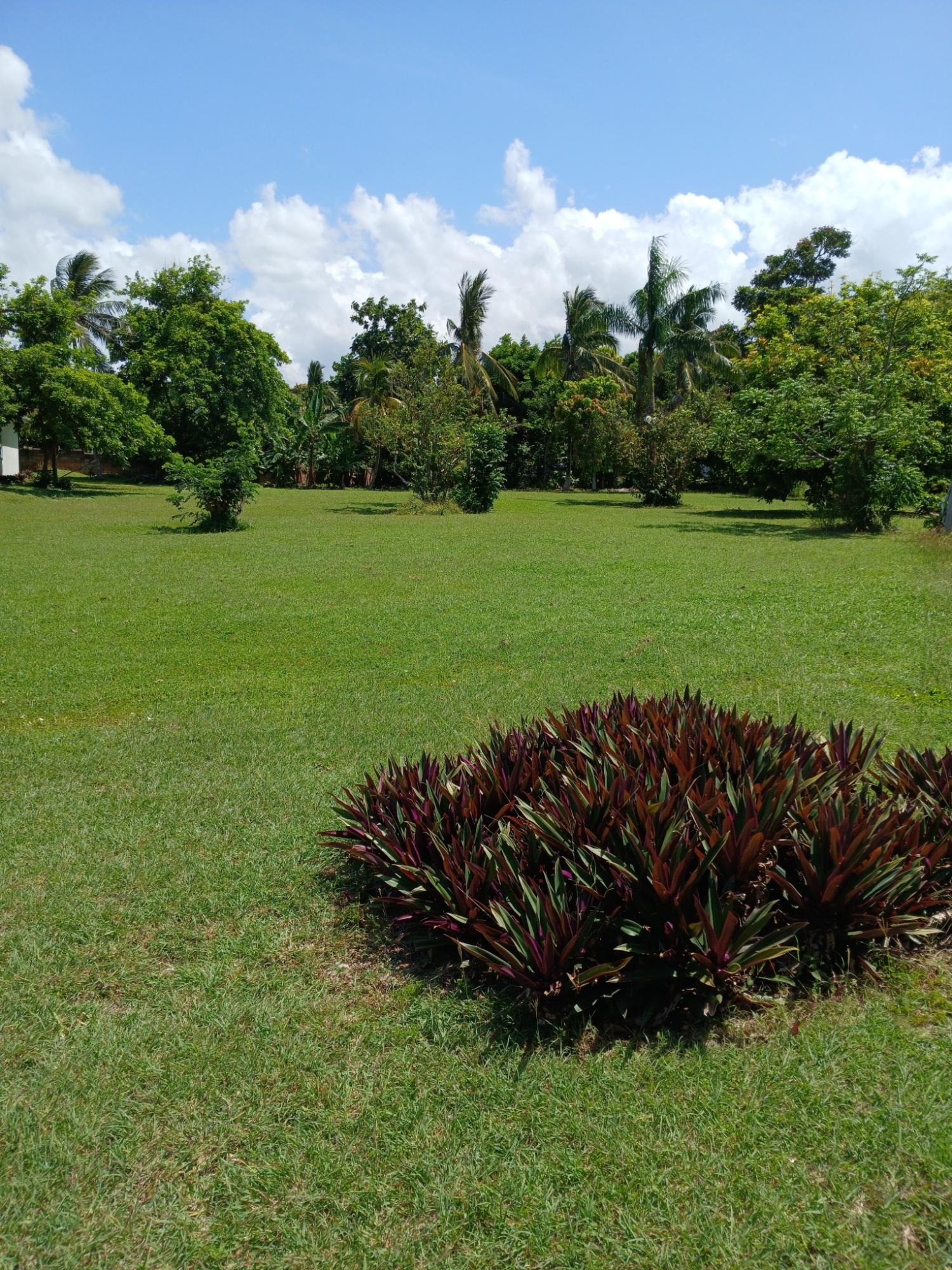 Ninth image of Lot 70 Kenmey Road in Mammee Bay Estate, St. Ann, Jamaica - property is For Sale