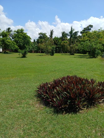Ninth image of Lot 70 Kenmey Road in Mammee Bay Estate, St. Ann, Jamaica - property is For Sale