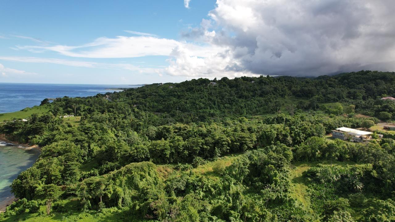 Eighth image of Ross Craig , Portland in Long Bay, Portland, Jamaica - property is For Sale