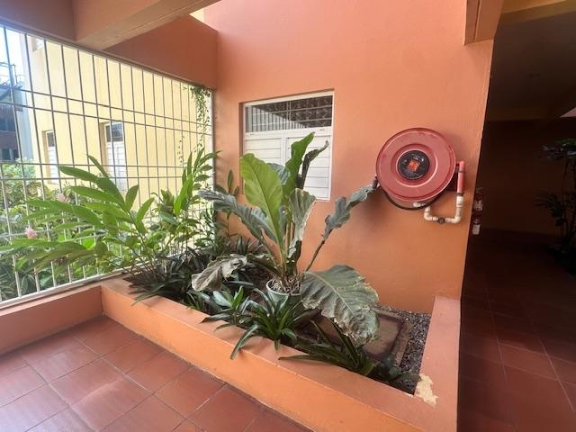 Fifteenth image of 4b-65 Lady Musgrave rd in Kingston 6, St. Andrew, Jamaica - property is For Rent