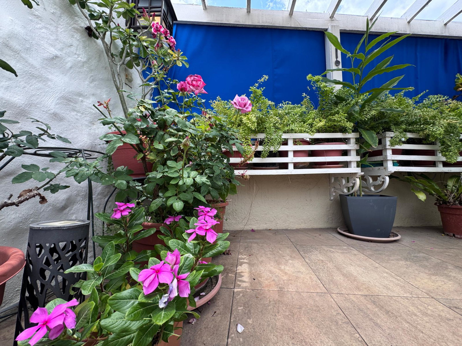 Nineteenth image of P4- Embassy Apartments in Kingston 5, St. Andrew, Jamaica - property is For Sale