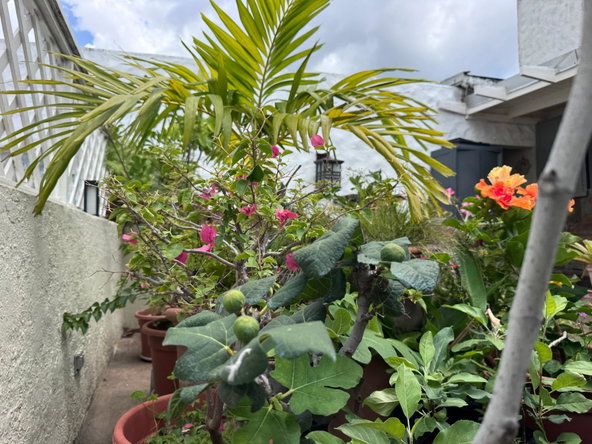 Twentieth image of P4- Embassy Apartments in Kingston 5, St. Andrew, Jamaica - property is For Sale
