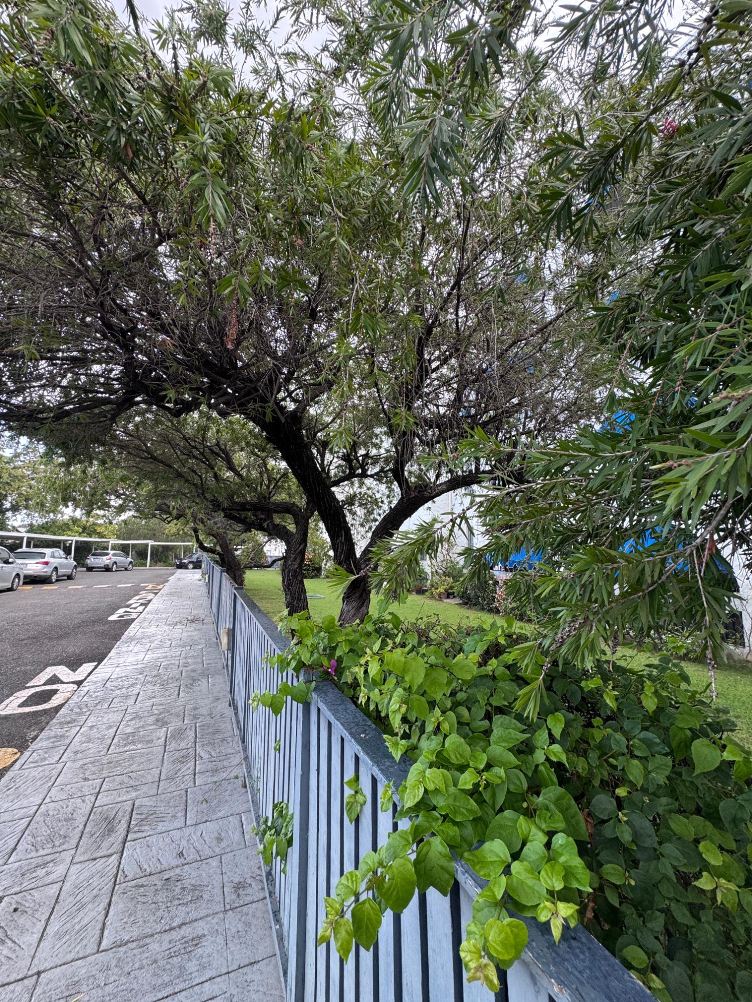 Twenty-Fourth image of P4- Embassy Apartments in Kingston 5, St. Andrew, Jamaica - property is For Sale