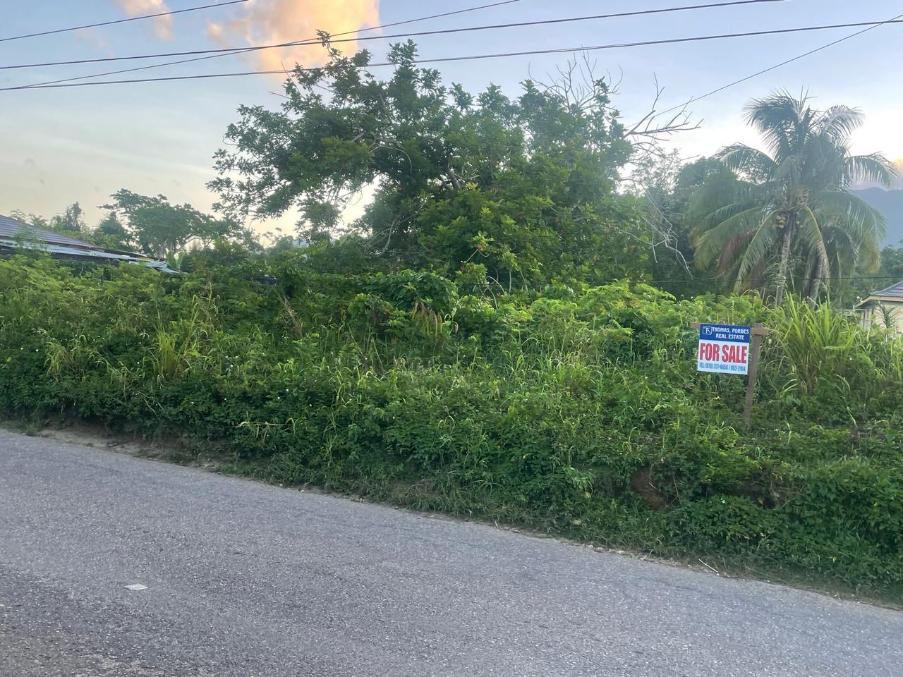First image of 82 & 83 Phantilands in Goshen, St. Elizabeth, Jamaica - property is For Sale