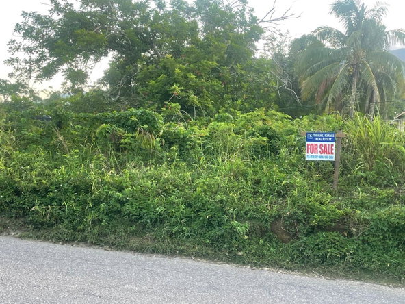Second image of 82 & 83 Phantilands in Goshen, St. Elizabeth, Jamaica - property is For Sale