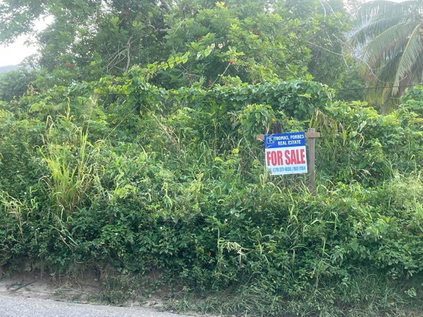 Third image of 82 & 83 Phantilands in Goshen, St. Elizabeth, Jamaica - property is For Sale