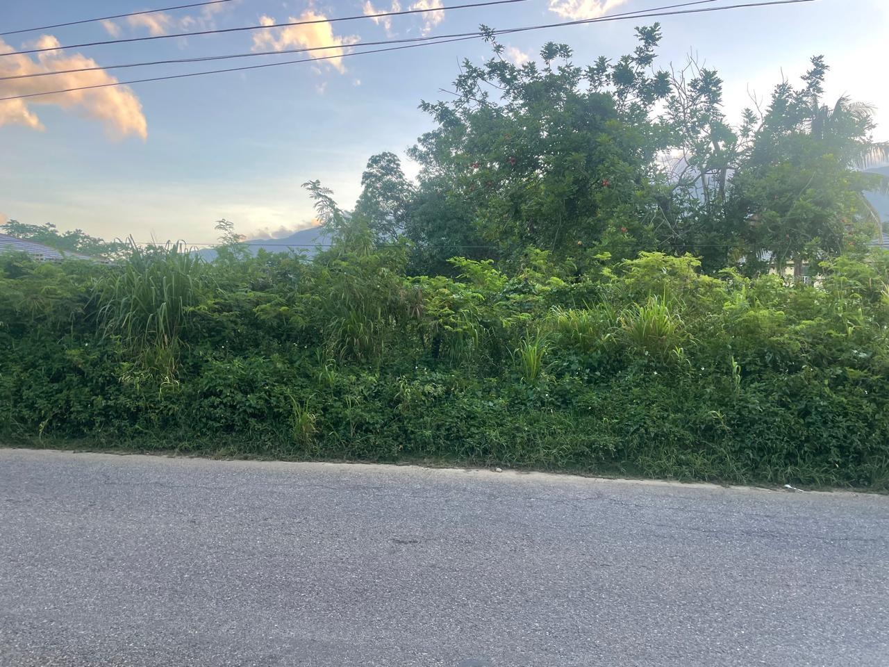 Fourth image of 82 & 83 Phantilands in Goshen, St. Elizabeth, Jamaica - property is For Sale