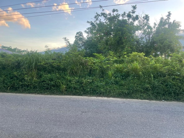 Fourth image of 82 & 83 Phantilands in Goshen, St. Elizabeth, Jamaica - property is For Sale