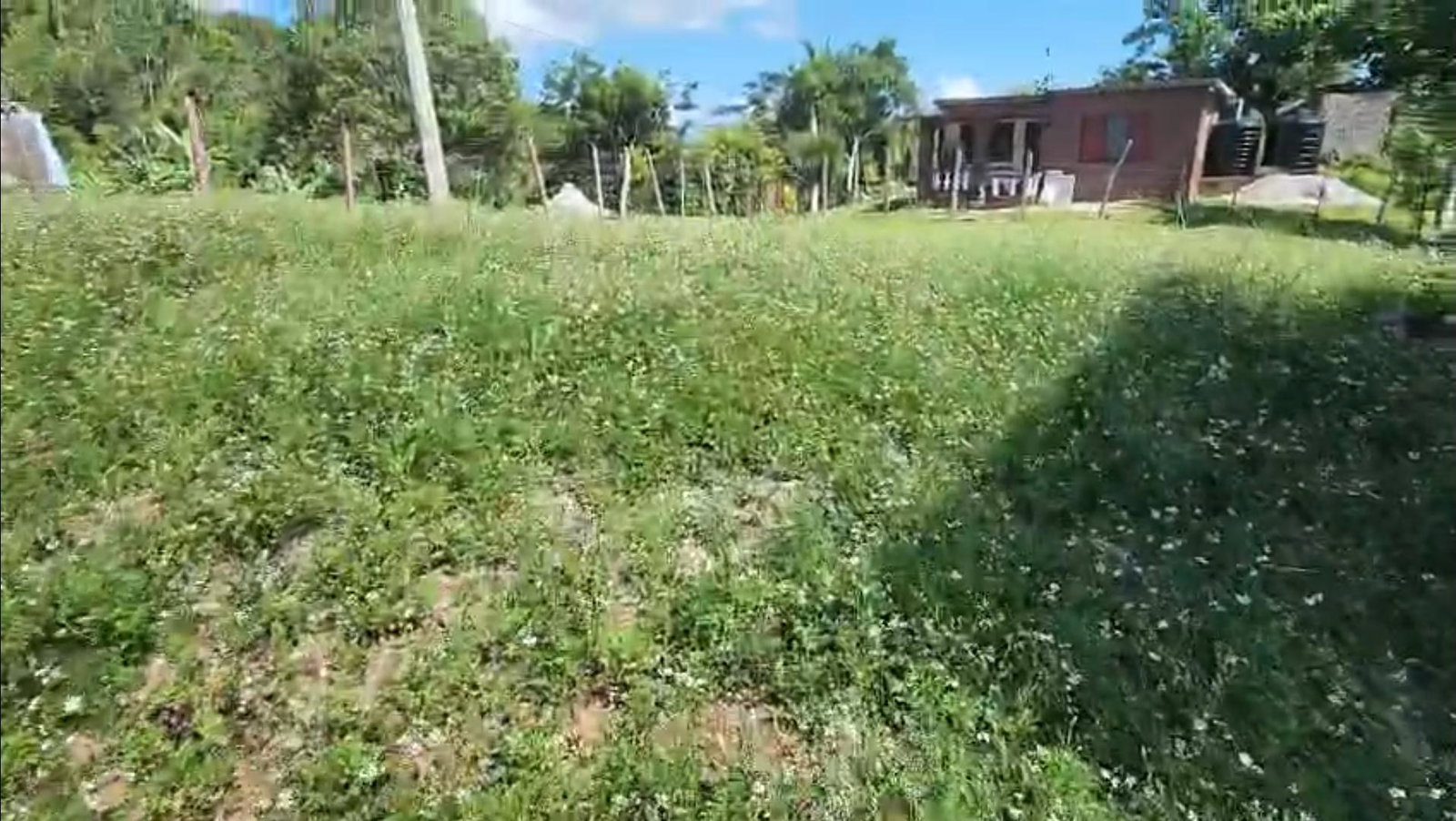 Fourth image of Heathfield Heathfield in Junction, St. Elizabeth, Jamaica - property is For Sale