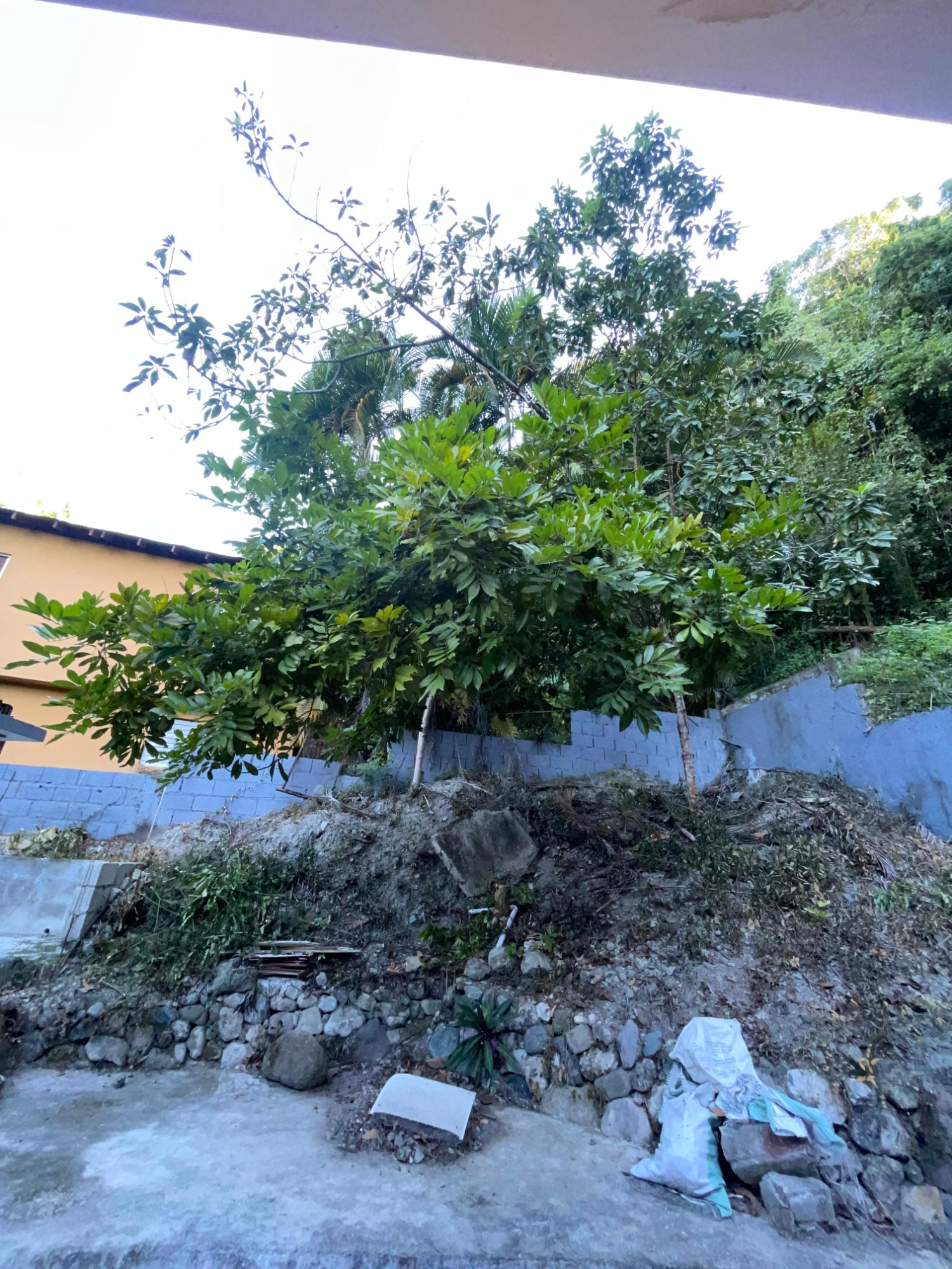 Sixth image of 1a Widcombe Road in Kingston 6, St. Andrew, Jamaica - property is For Rent