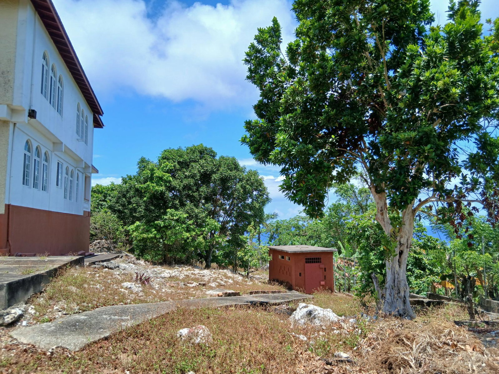 Eighth image of Ferncliff in Port Antonio, Portland, Jamaica - property is For Sale