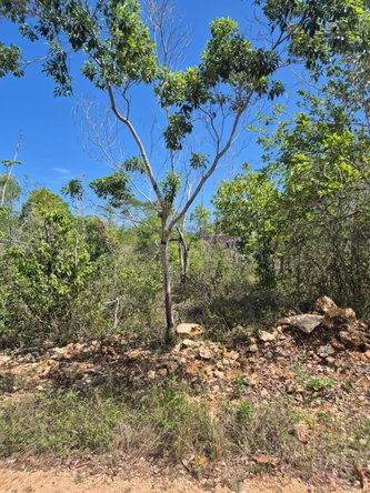 Second image of 39- Huddersfeild in Huddersfield Heights, St. Mary, Jamaica - property is For Sale