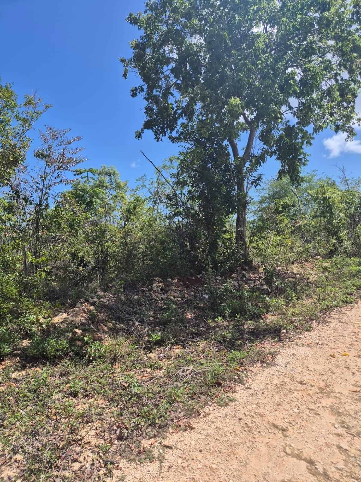 Third image of 39- Huddersfeild in Huddersfield Heights, St. Mary, Jamaica - property is For Sale