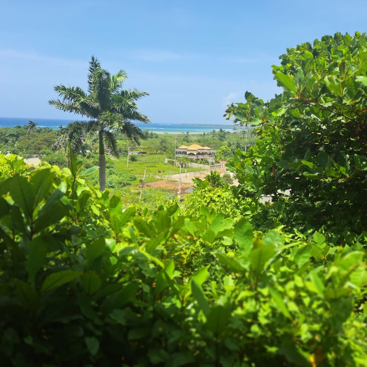Sixteenth image of Seaside Avenue in Iter Boreale, St. Mary, Jamaica - property is For Sale