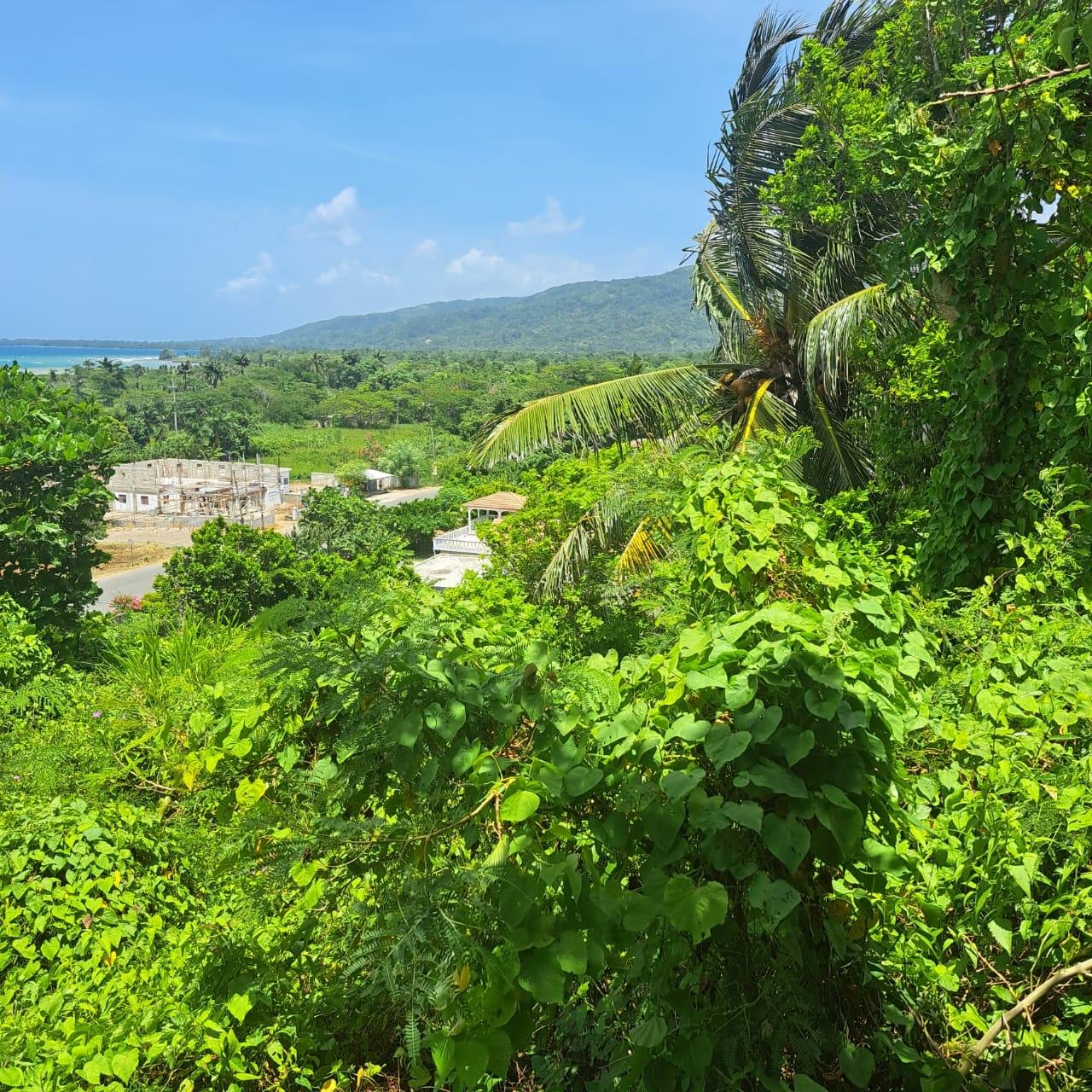 Seventeenth image of Seaside Avenue in Iter Boreale, St. Mary, Jamaica - property is For Sale