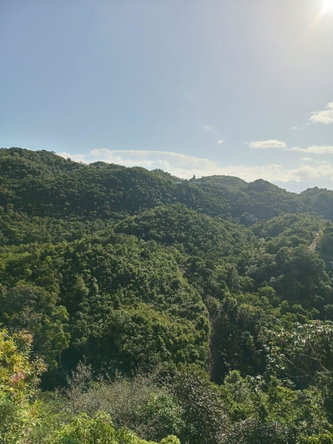 First image of Lot 2 Coopers Hill Heights in Red Hills, St. Andrew, Jamaica - property is For Sale