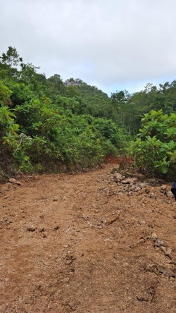 Third image of Lot 2 Coopers Hill Heights in Red Hills, St. Andrew, Jamaica - property is For Sale