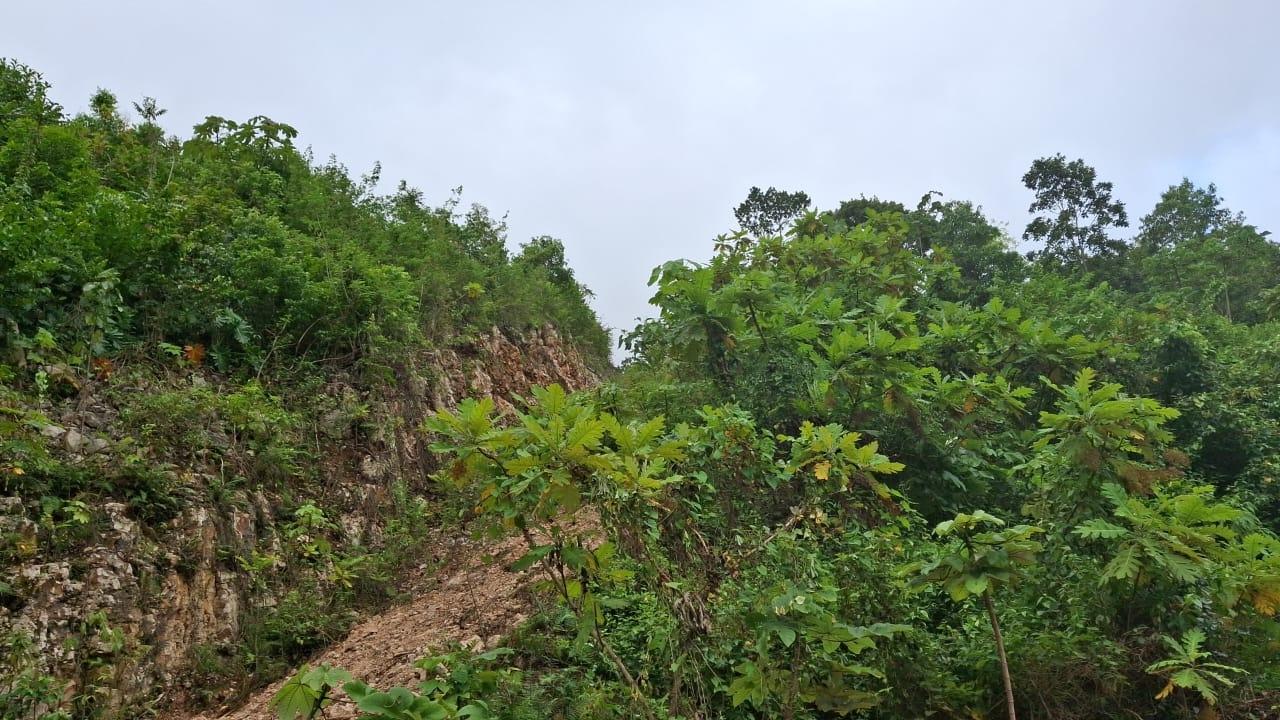 Fifth image of Lot 2 Coopers Hill Heights in Red Hills, St. Andrew, Jamaica - property is For Sale