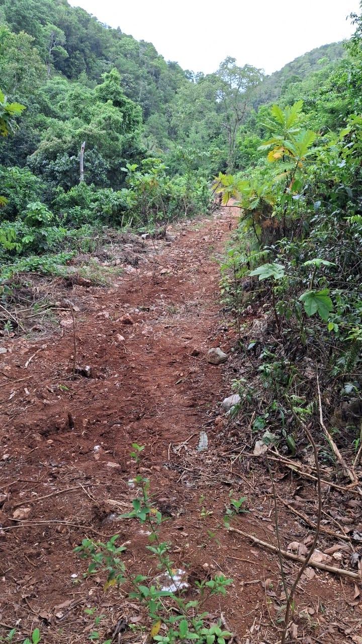 Sixth image of Lot 2 Coopers Hill Heights in Red Hills, St. Andrew, Jamaica - property is For Sale