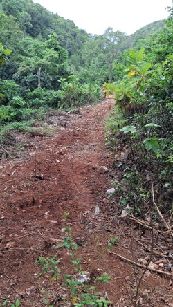 Sixth image of Lot 2 Coopers Hill Heights in Red Hills, St. Andrew, Jamaica - property is For Sale