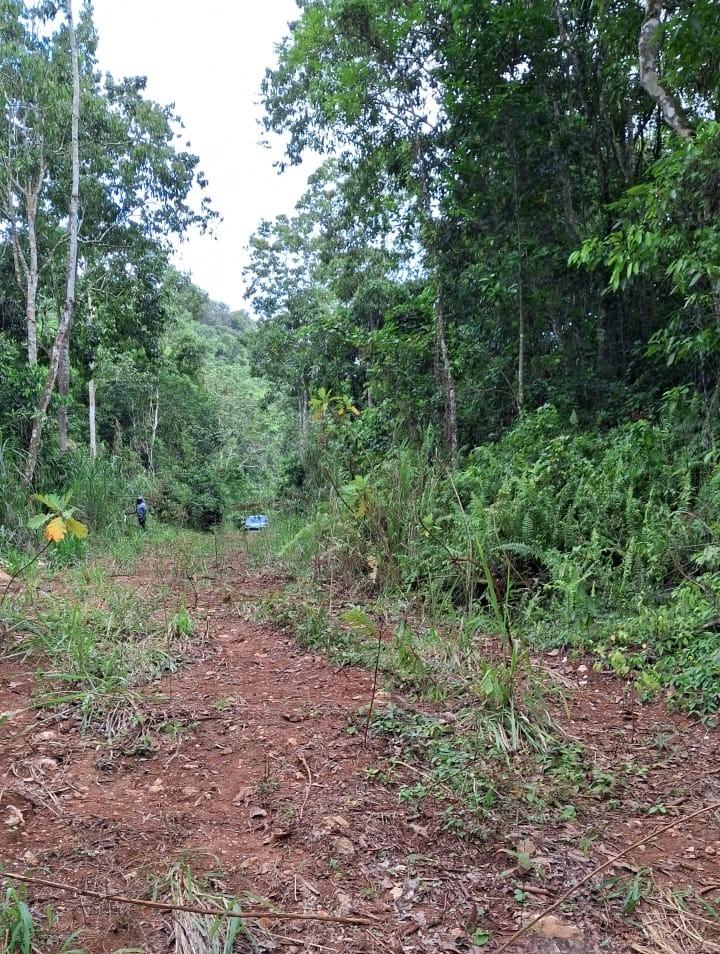 Seventh image of Lot 2 Coopers Hill Heights in Red Hills, St. Andrew, Jamaica - property is For Sale