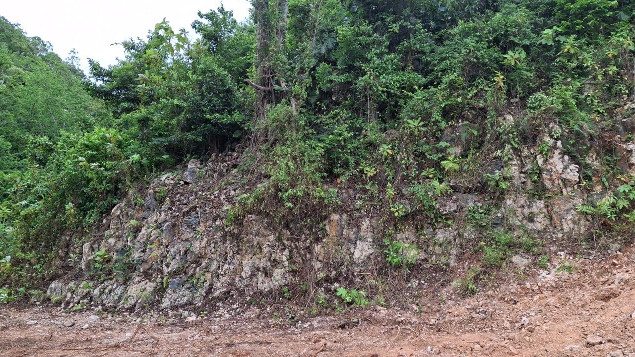 Eighth image of Lot 2 Coopers Hill Heights in Red Hills, St. Andrew, Jamaica - property is For Sale