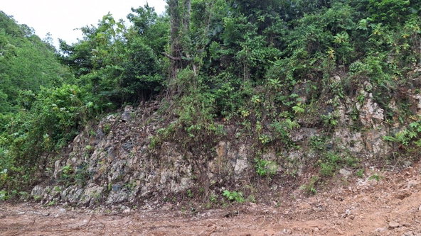 Eighth image of Lot 2 Coopers Hill Heights in Red Hills, St. Andrew, Jamaica - property is For Sale