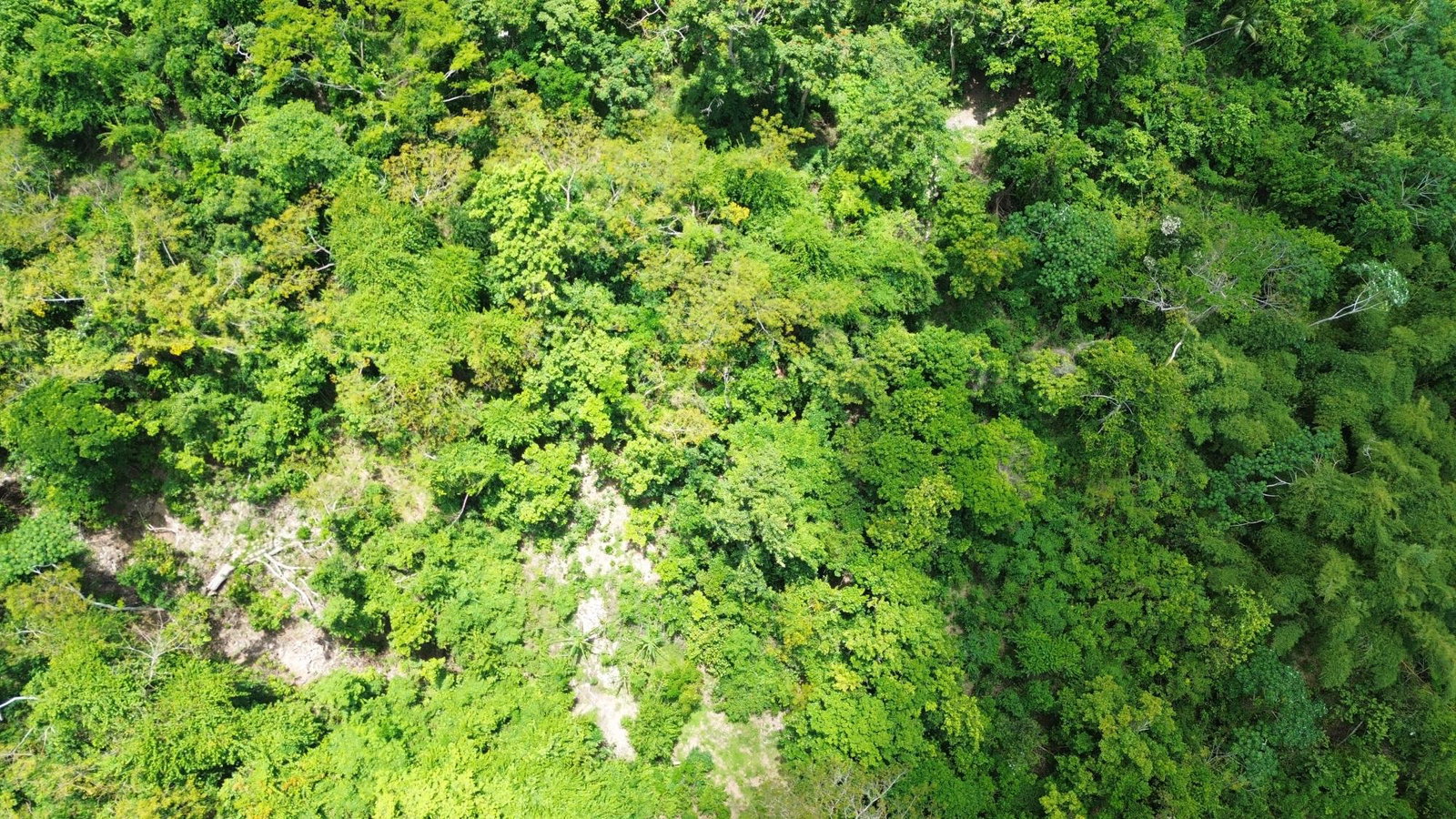 Second image of Wamba Farm, Yallahs in Yallahs, St. Thomas, Jamaica - property is For Sale