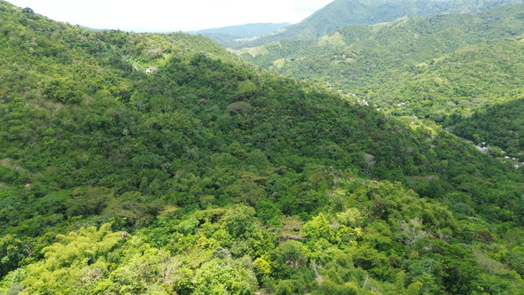 Third image of Wamba Farm, Yallahs in Yallahs, St. Thomas, Jamaica - property is For Sale