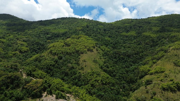 Fourth image of Wamba Farm, Yallahs in Yallahs, St. Thomas, Jamaica - property is For Sale