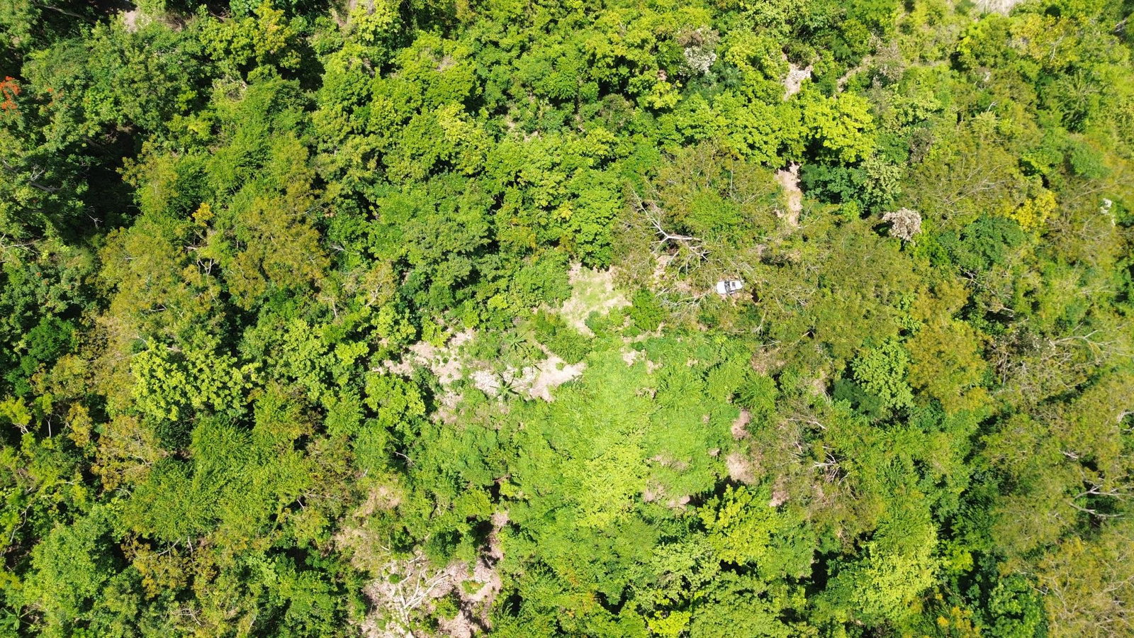 Fifth image of Wamba Farm, Yallahs in Yallahs, St. Thomas, Jamaica - property is For Sale