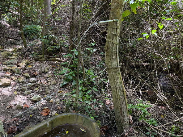 Sixth image of Wamba Farm, Yallahs in Yallahs, St. Thomas, Jamaica - property is For Sale