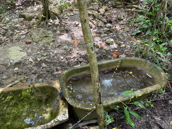 Seventh image of Wamba Farm, Yallahs in Yallahs, St. Thomas, Jamaica - property is For Sale