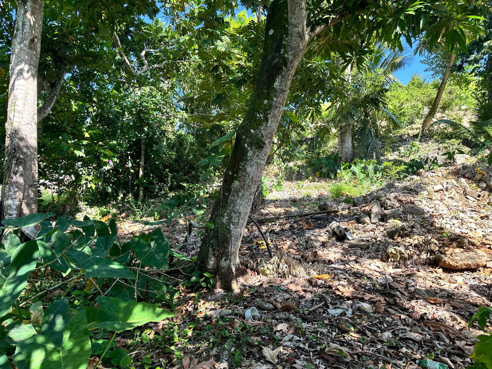 Tenth image of 15- Seaview Heights in Ocho Rios, St. Ann, Jamaica - property is For Sale
